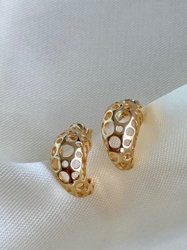 Argola Orgânica Vazados Luxo