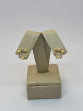 Brinco Botânico Dourado Oval